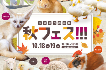 ふれあいホームタウンおのみち「秋フェス！」